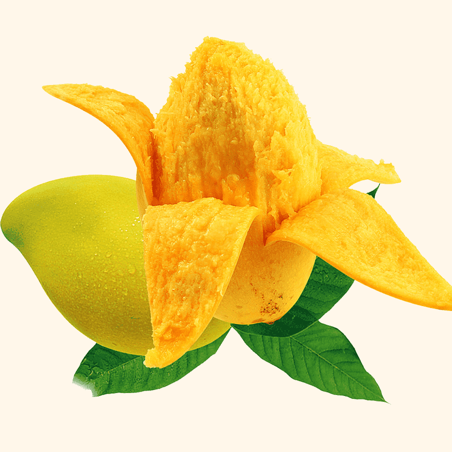 Dryora dried mango hero image